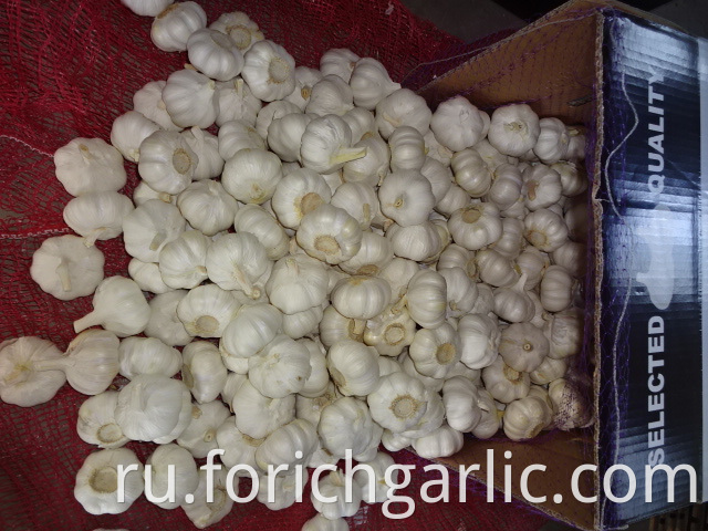 Loose Packing Fresh Pure Garlic